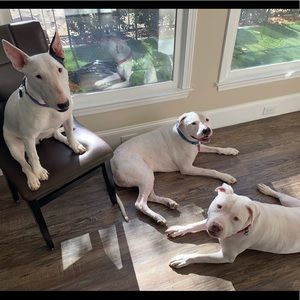 Guess what my healthcare deductible is…!!!